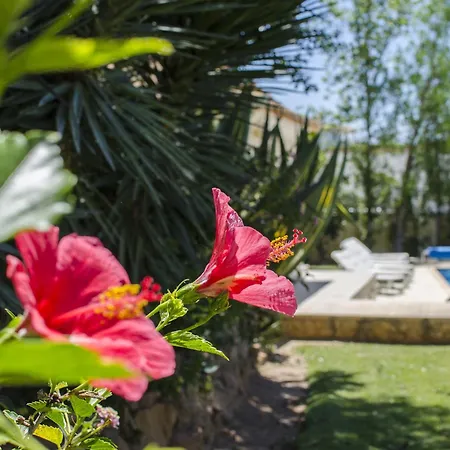 Caravela Villa *